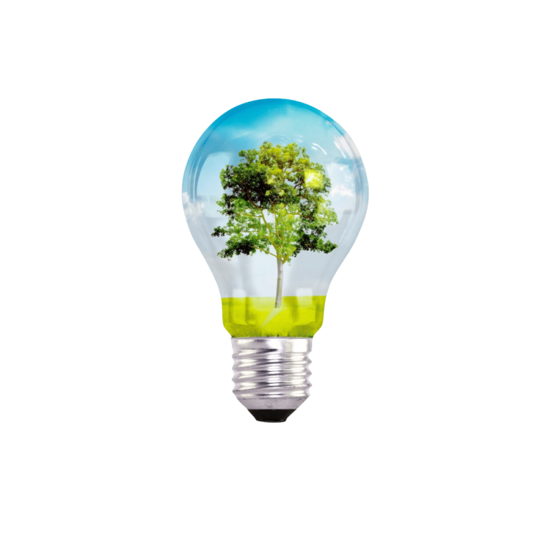 wepik-export-20230817065823AJNM